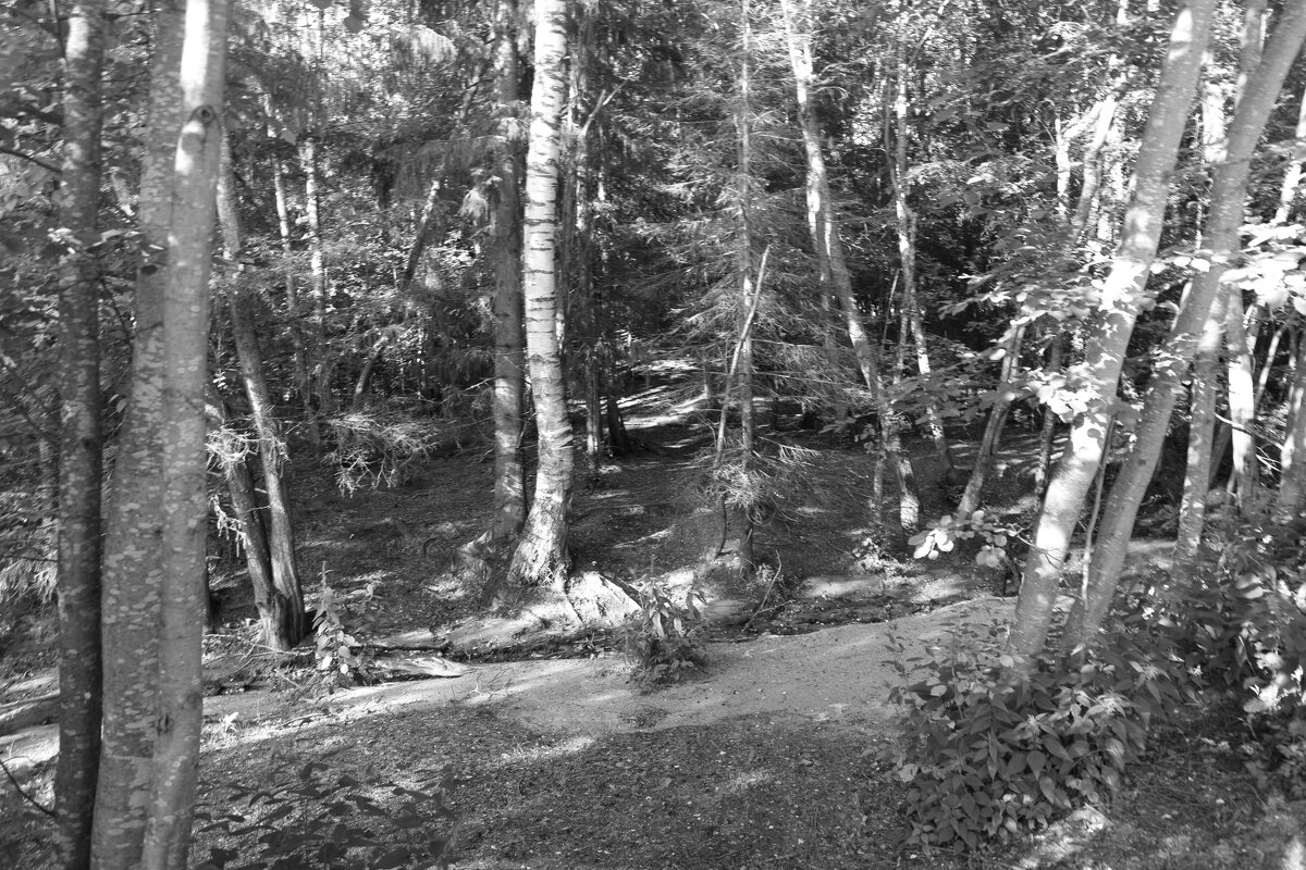 Фотография - Денис Безногов Фотография - Денис Безногов