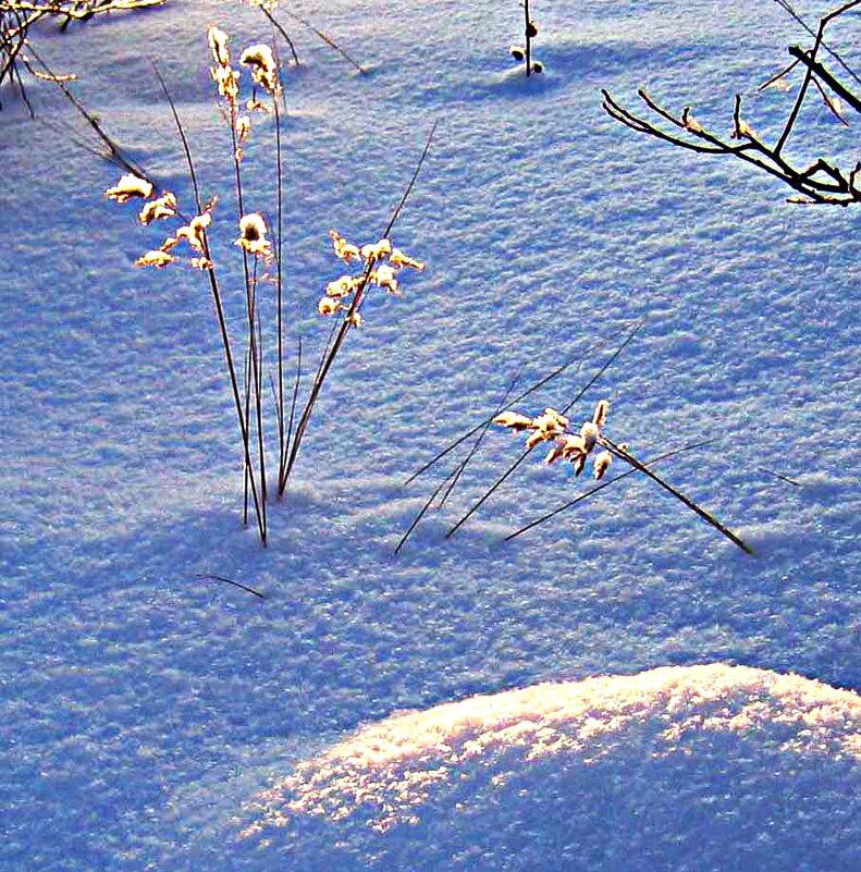 Январь...Зимняя былина в пушистом снегу! - Владимир Январь...Зимняя былина в пушистом снегу! - Владимир