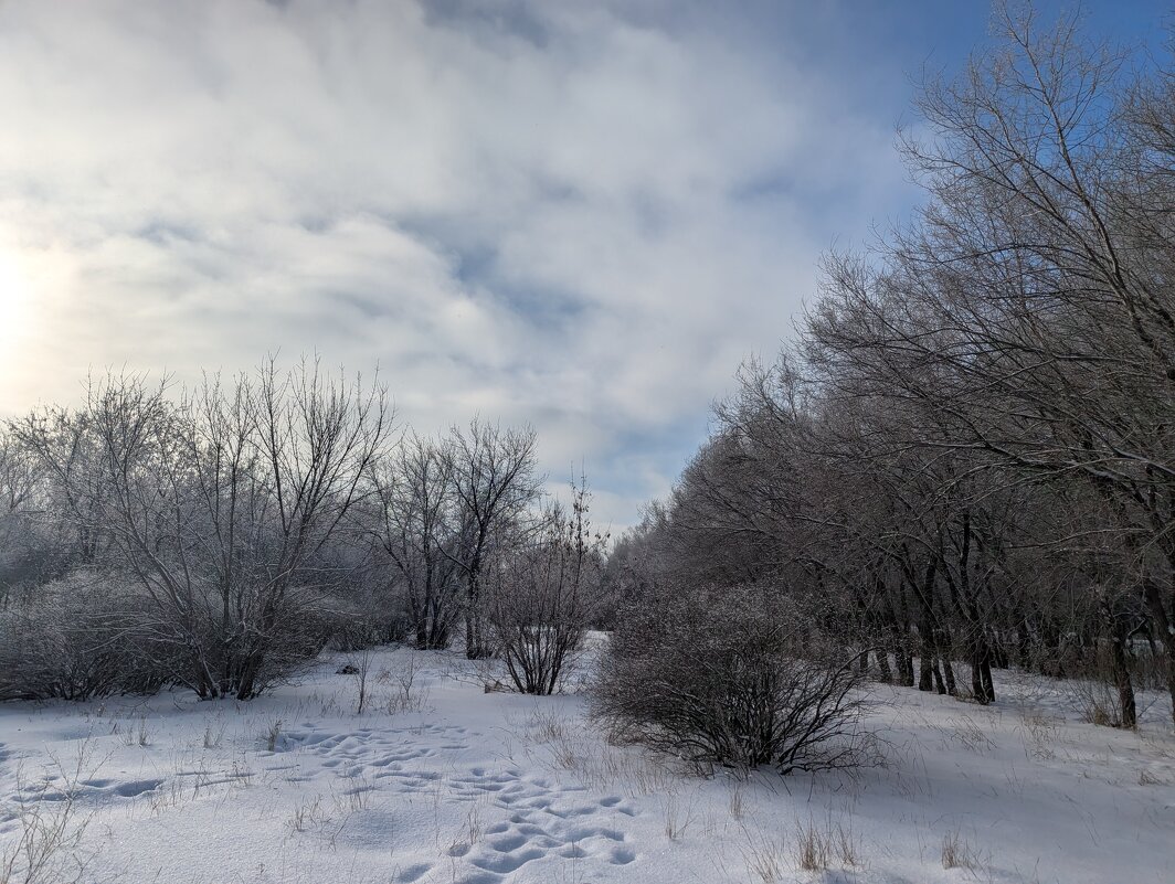 Там в январе - Андрей Хлопонин