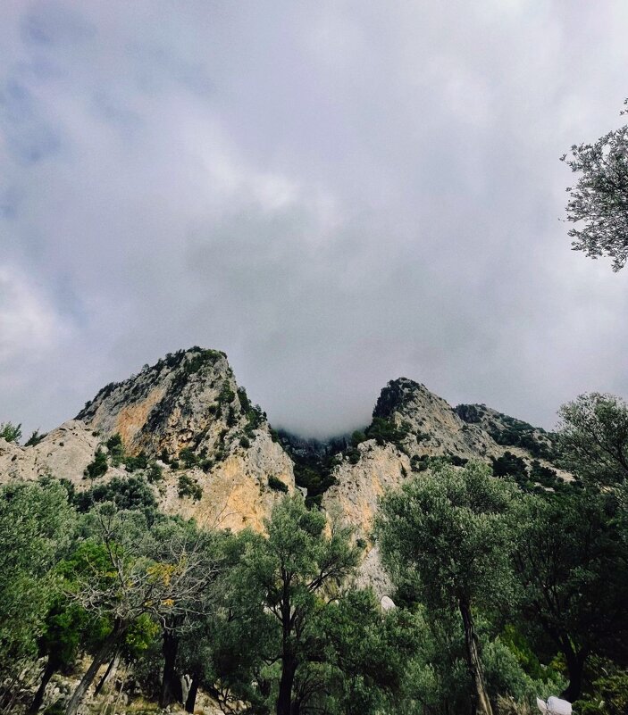 Вершина. - Георгиевич 