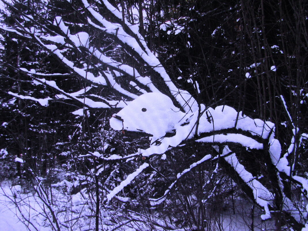 Лесное чудище - Людмила Смородинская