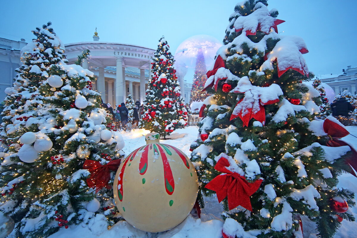 Странноприимный Дом на Сухаревской 8 января - Михаил Бибичков