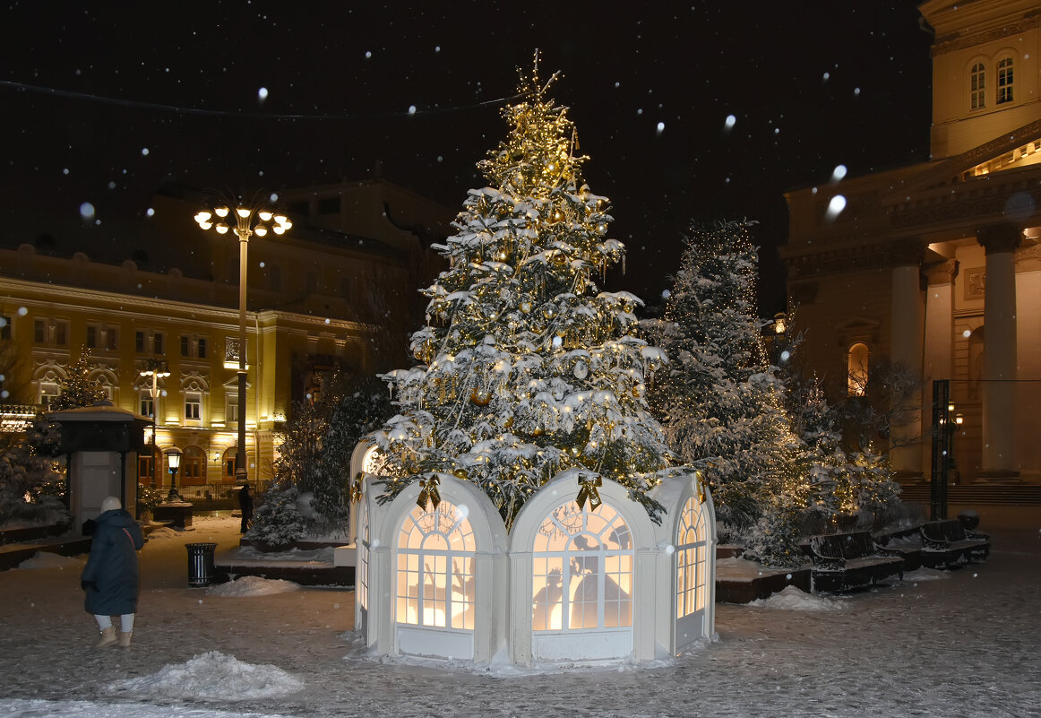 Новогодняя Москва. Путешествие в Рождество 2026. - Наташа ***** Новогодняя Москва. Путешествие в Рождество 2026. - Наташа *****