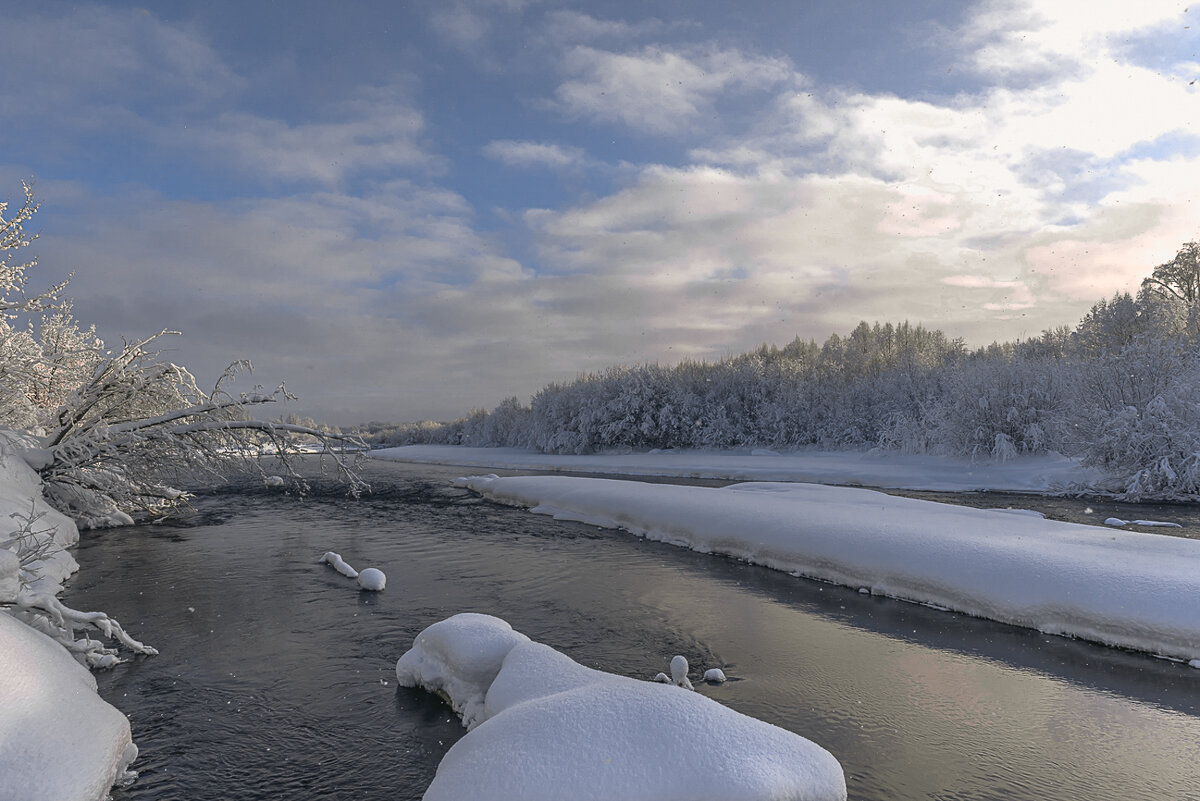 ... - Жора Житников ... - Жора Житников