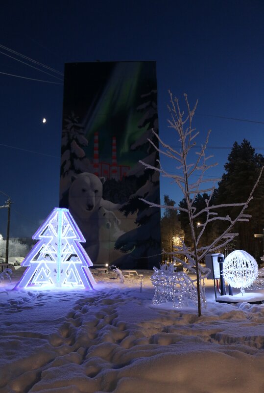 Полярная ночь - Ольга Полярная ночь - Ольга