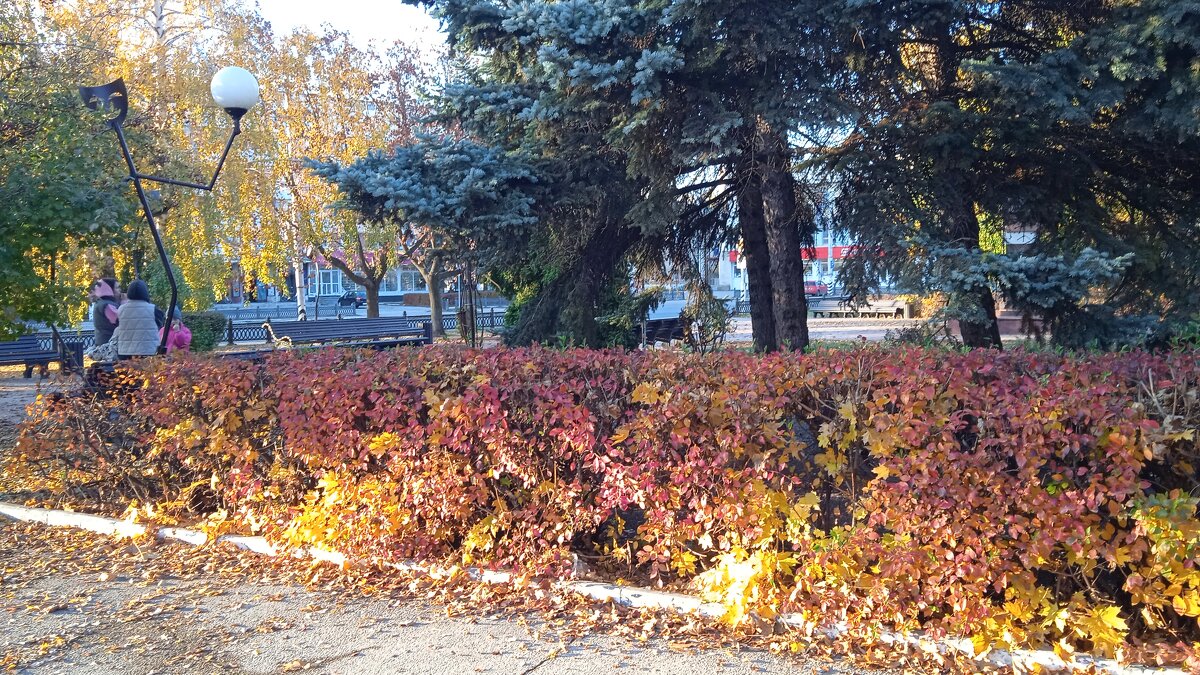 прекрасный октябрь - Елена Шаламова