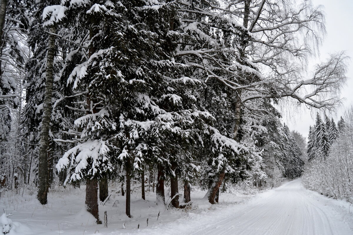 СНЕГ - Татьяна Касьяненко