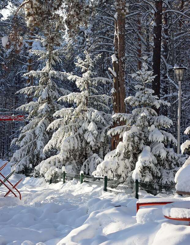 В городском парке - Галина Нестратова