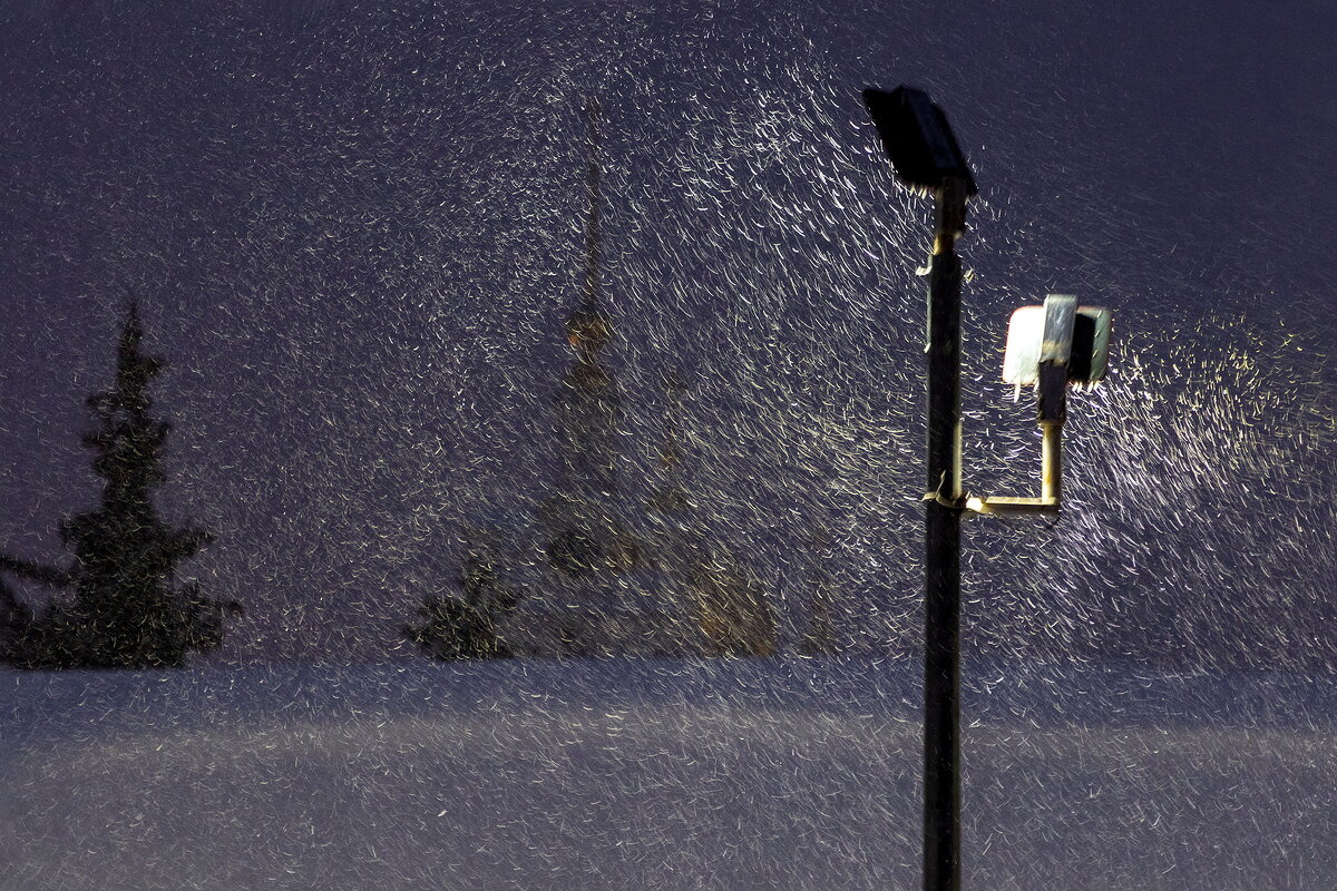 Запуржило - заметелило. - Анатолий. Chesnavik. Запуржило - заметелило. - Анатолий. Chesnavik.