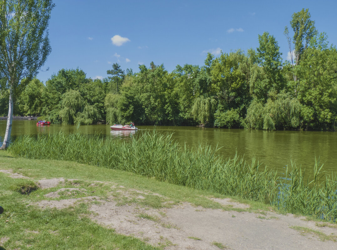 Летний пейзаж - Валентин Семчишин