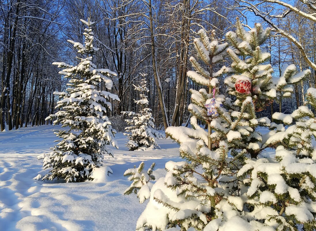 Январь в парке - Мария Васильева Январь в парке - Мария Васильева