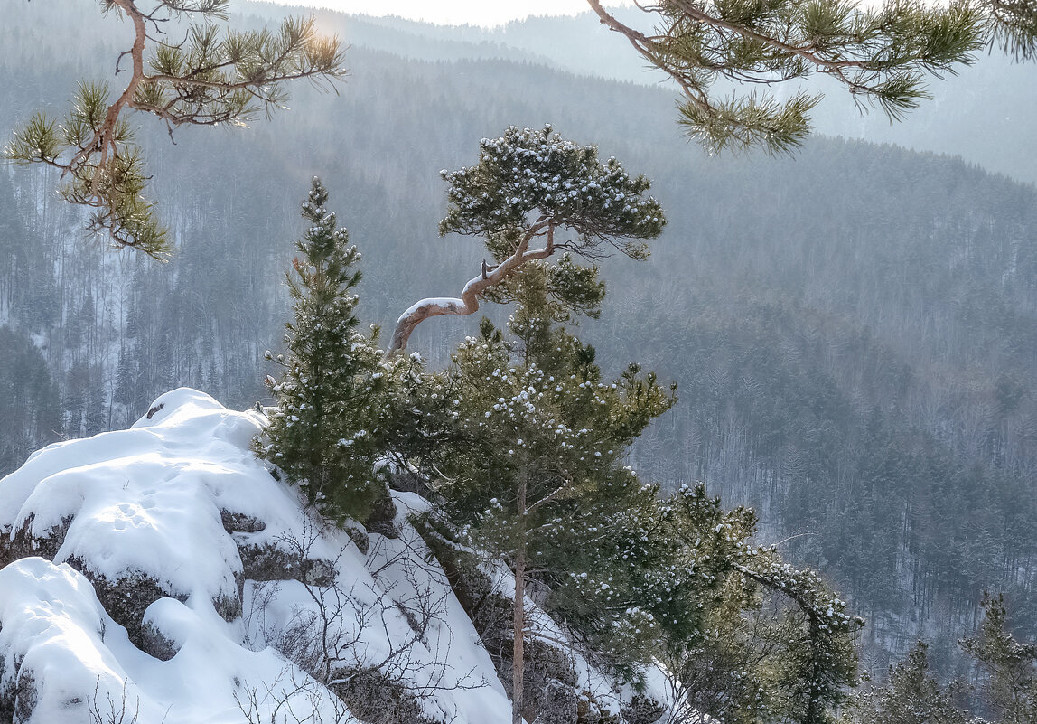 Над тайгой - Марина Фомина. Над тайгой - Марина Фомина.