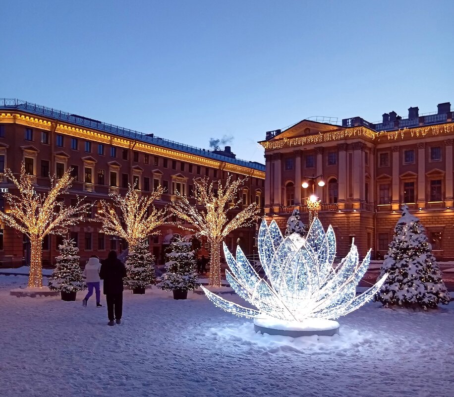 Новогодний Петербург . Зимний сад у Мариинского дворца. - Наталья ***