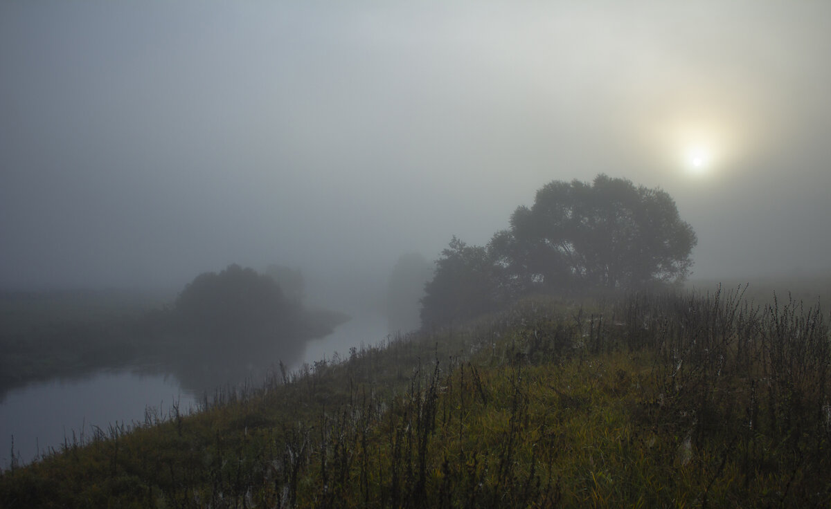 Туман. - Александр. AVG100 ---