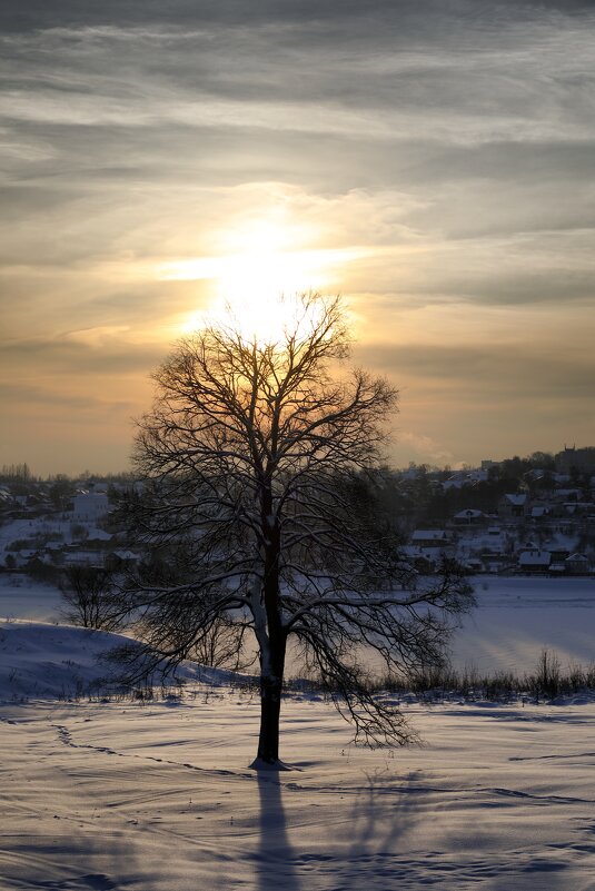 На закате - Oleg S
