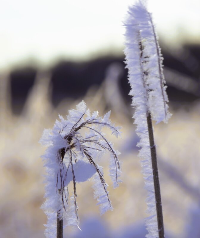 Давай поговорим... - liudmila drake