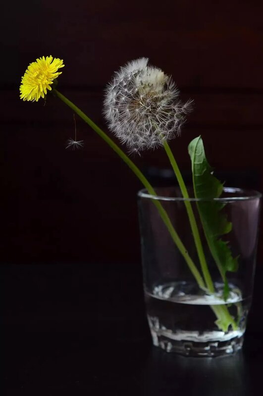 Про миг - Лена -