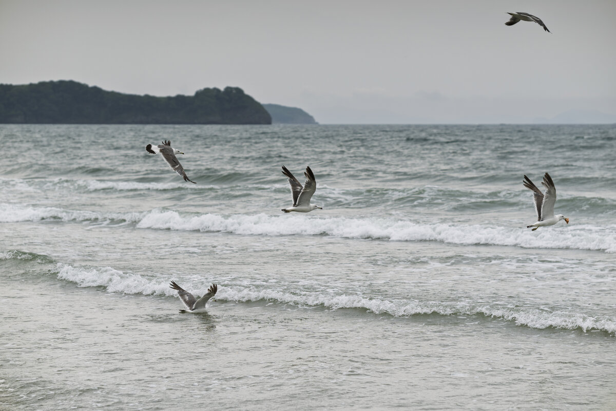 Цифра 5 - Alexandr Khizhniak