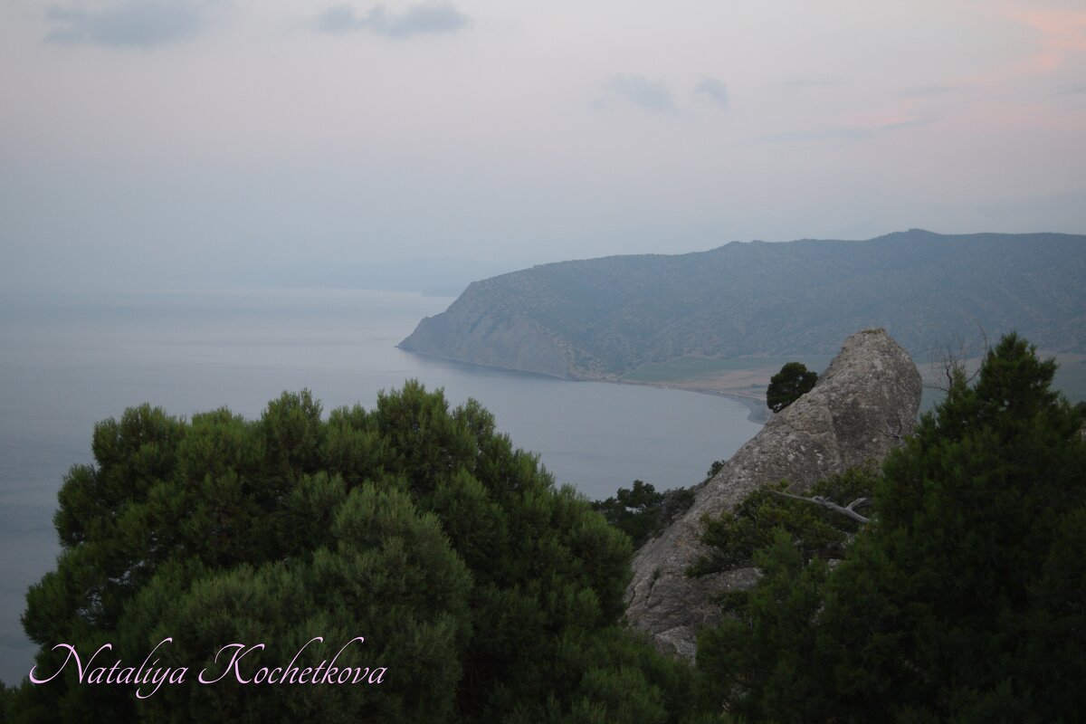 Природа Крыма - Amazing Cosmea