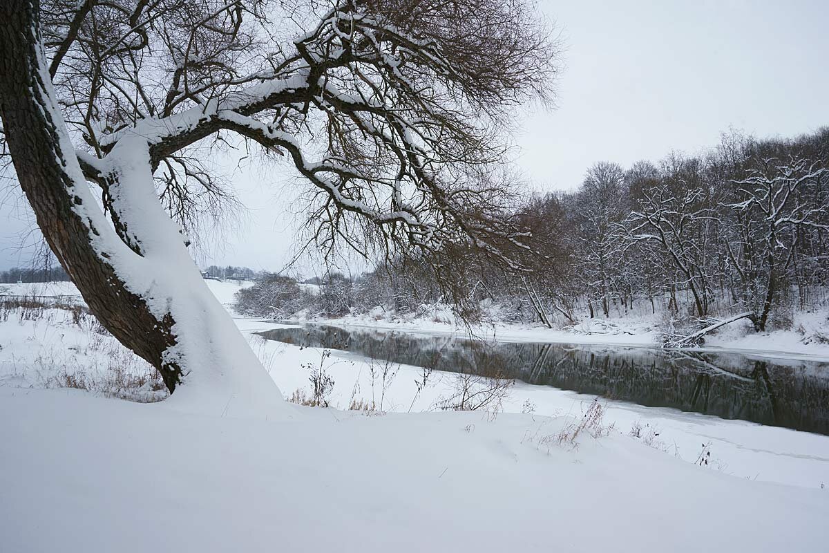 В долине Протвы - Сергей Курников