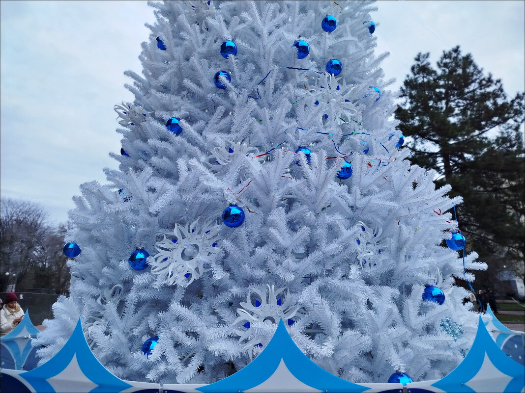 Фрагмент снежной ёлки! - Надежда 