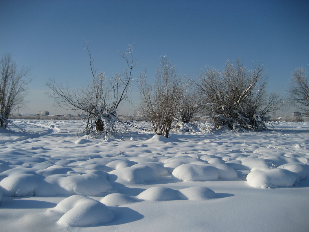 Солнечный день - Anna Ivanova