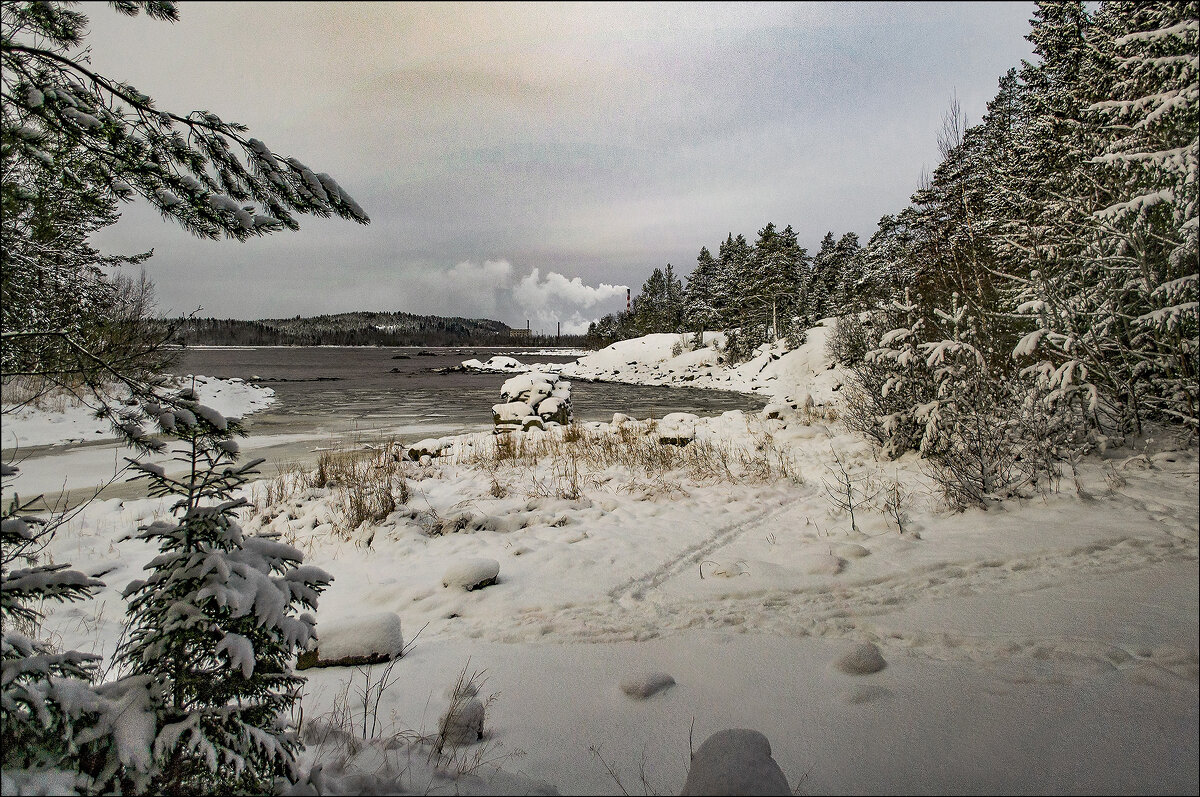 *  *  * - Андрей Бобин