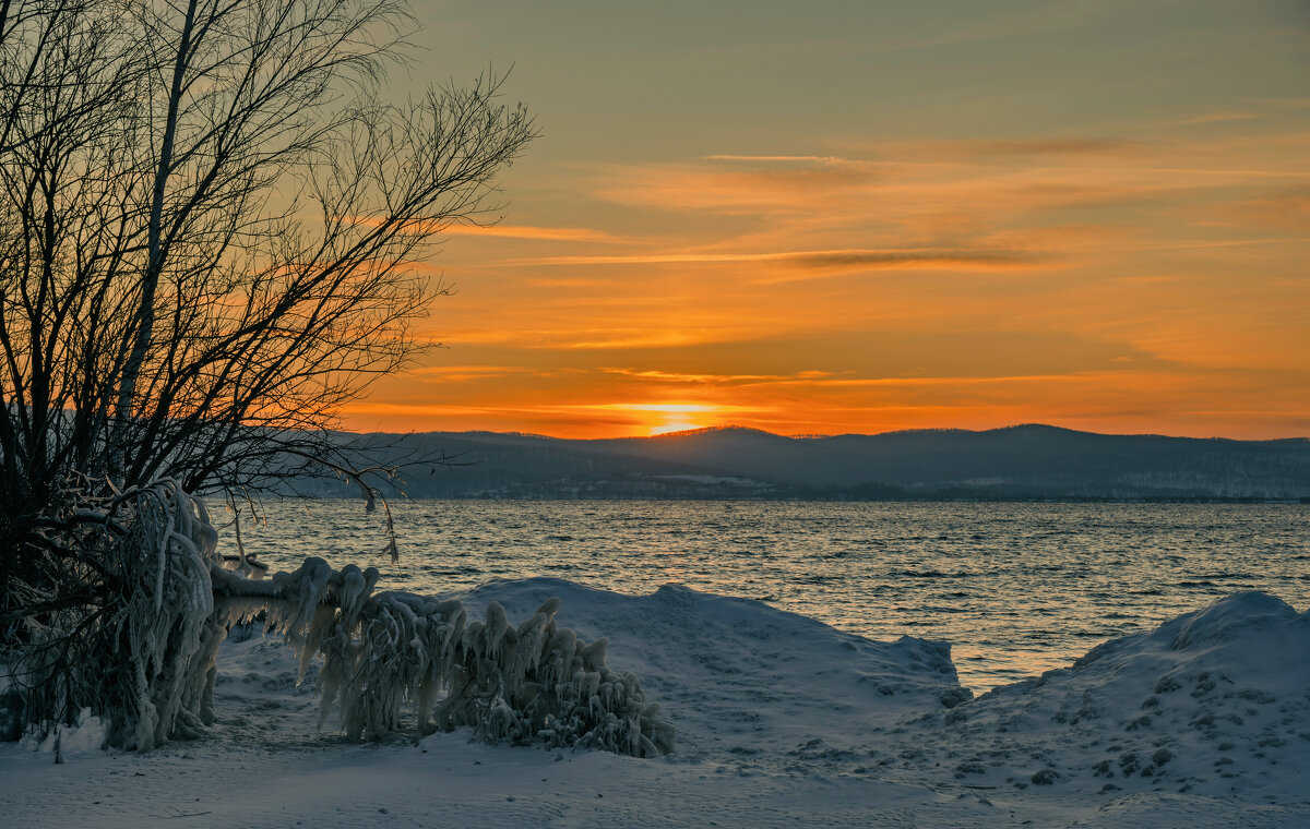 **** - Алексей Мезенцев