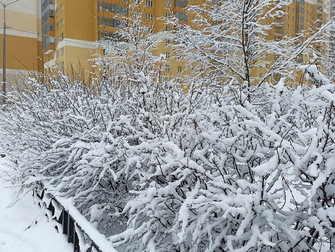 Украшение от зимы! - Лилия * Украшение от зимы! - Лилия *