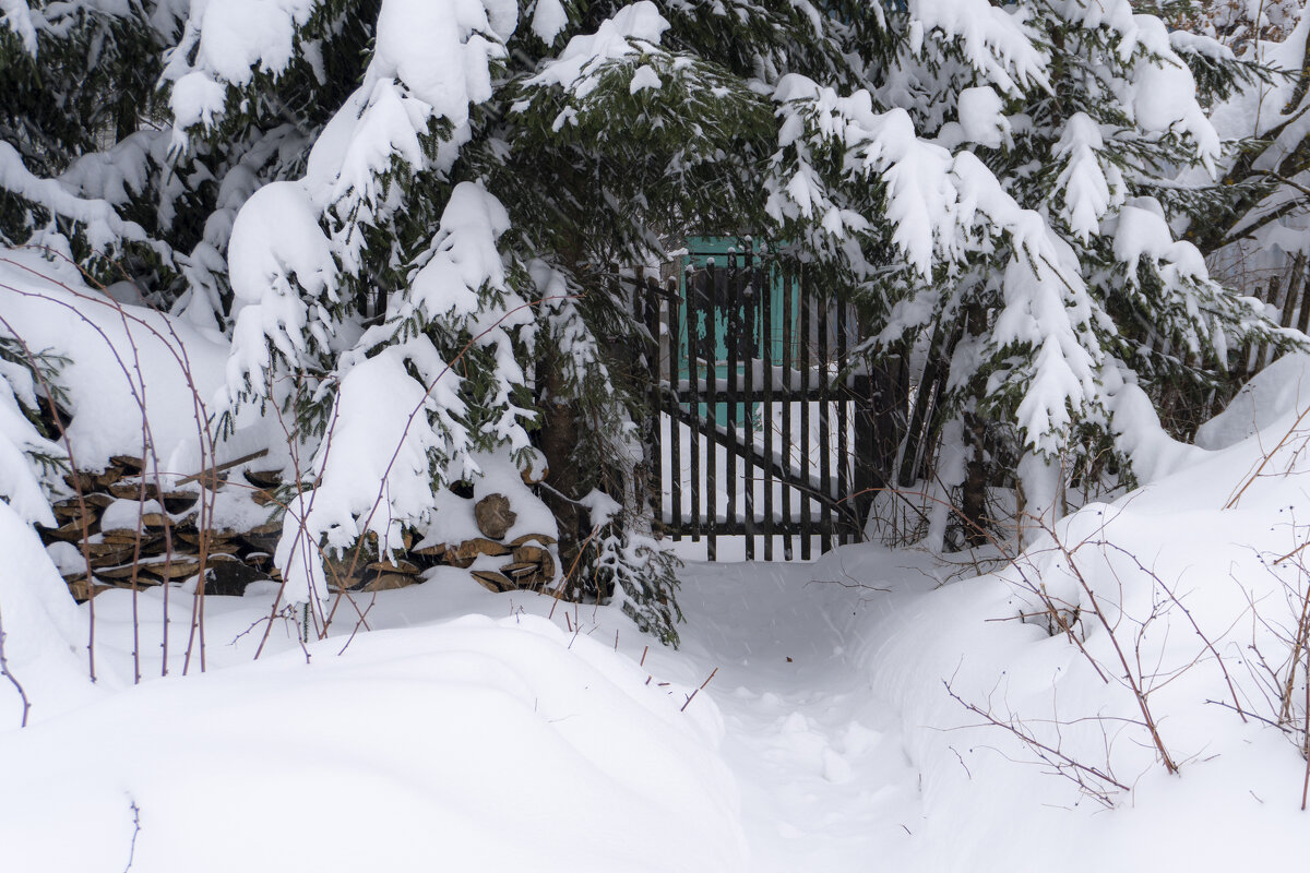 Калитка - Сергей Ц