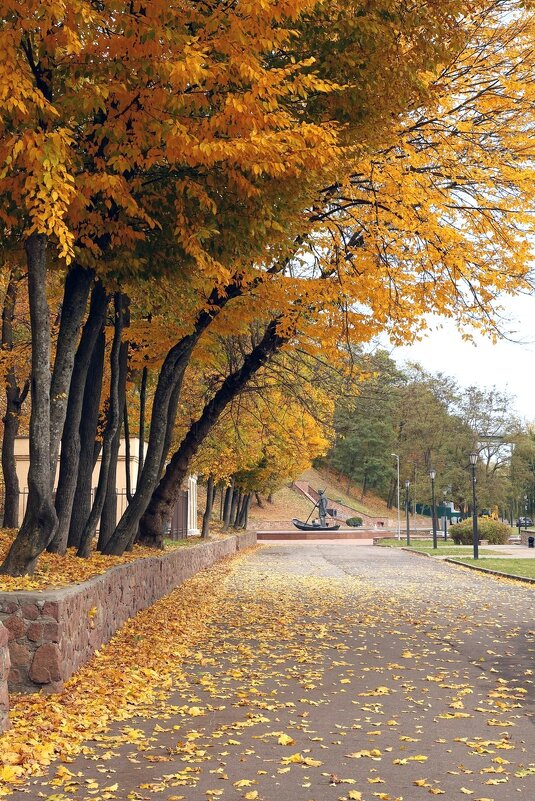 В парке. - Сергей Рожков