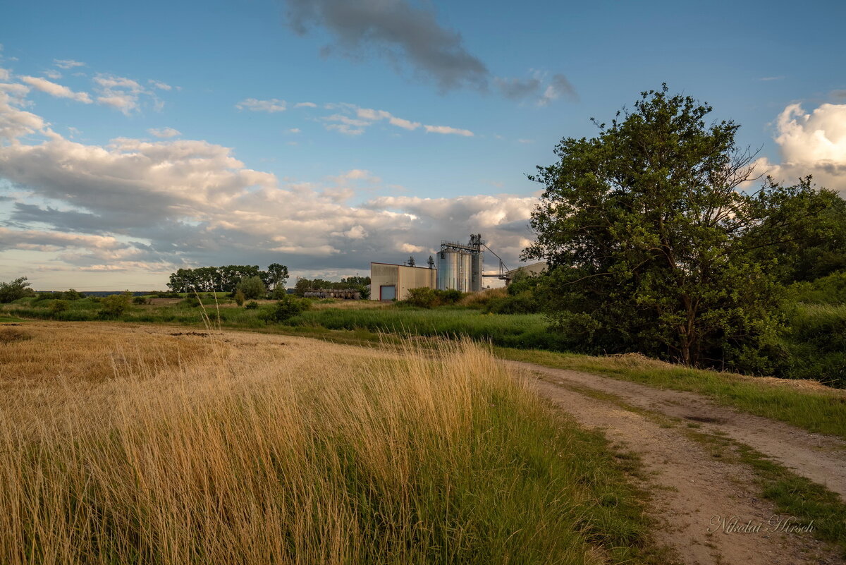Путь к элеватору... - Николай Гирш