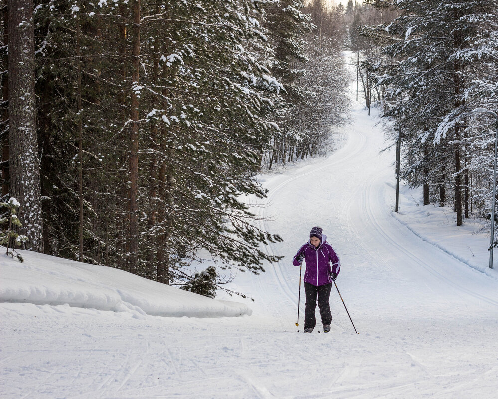 На лыжне - yav 110455