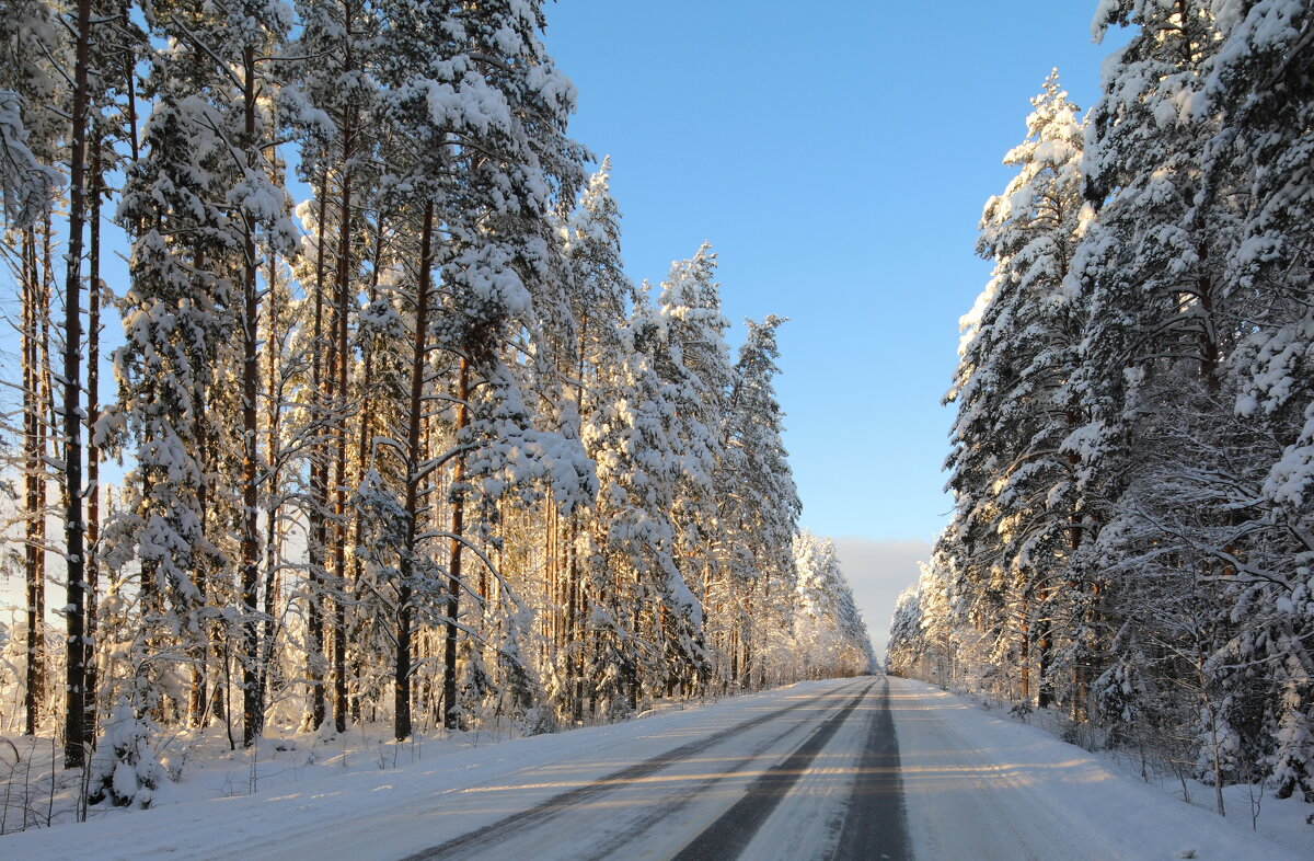 Зимняя дорога... - Александр Алексеенко