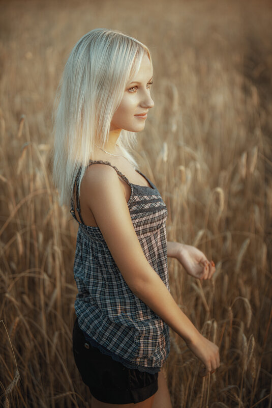 Портрет в поле - Дмитрий Булатов