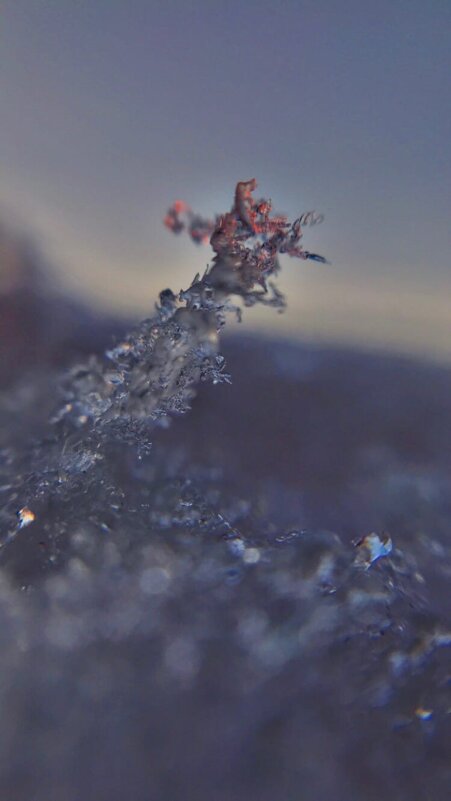 изо льда - Алла Новикова