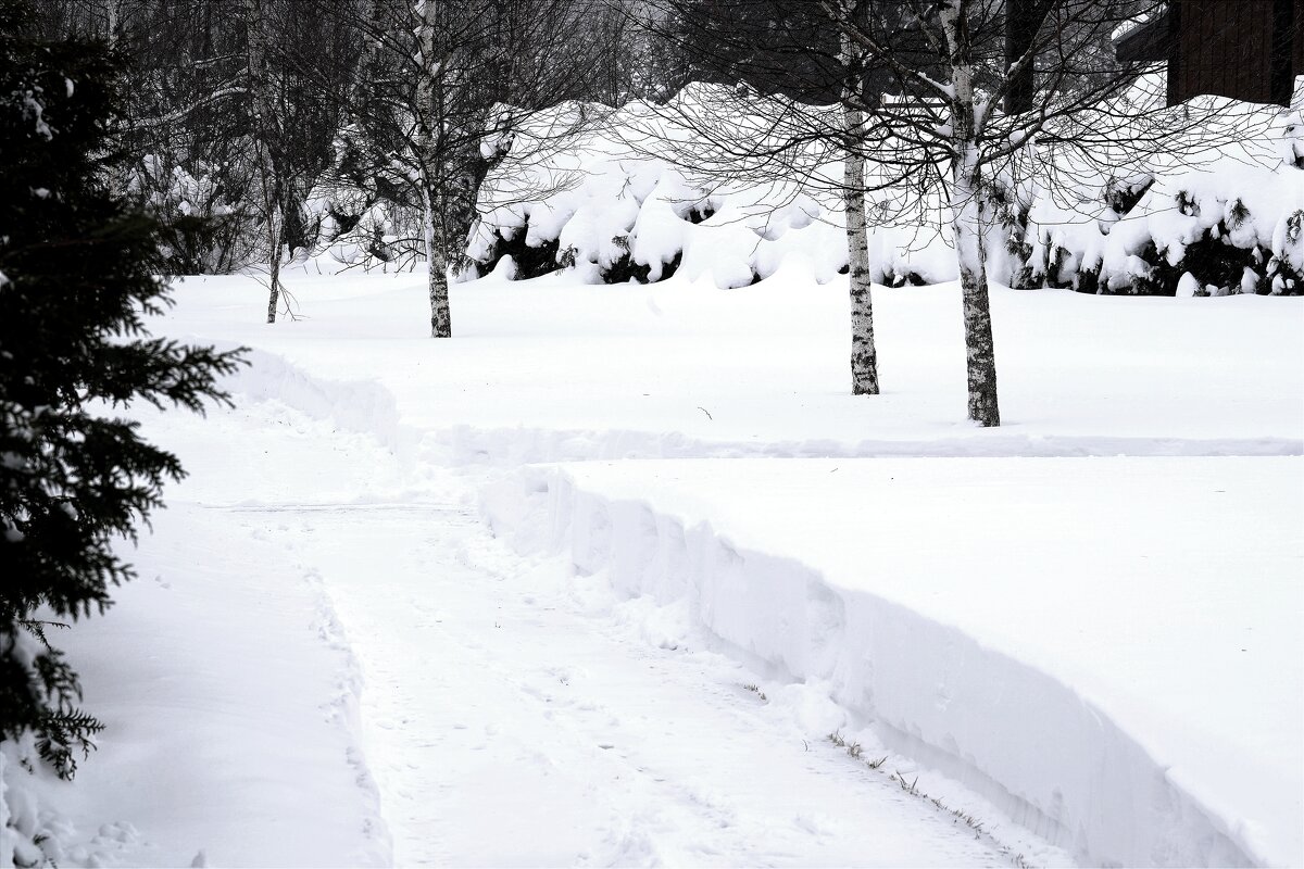 Зима за городом - Татьяна Тюменка