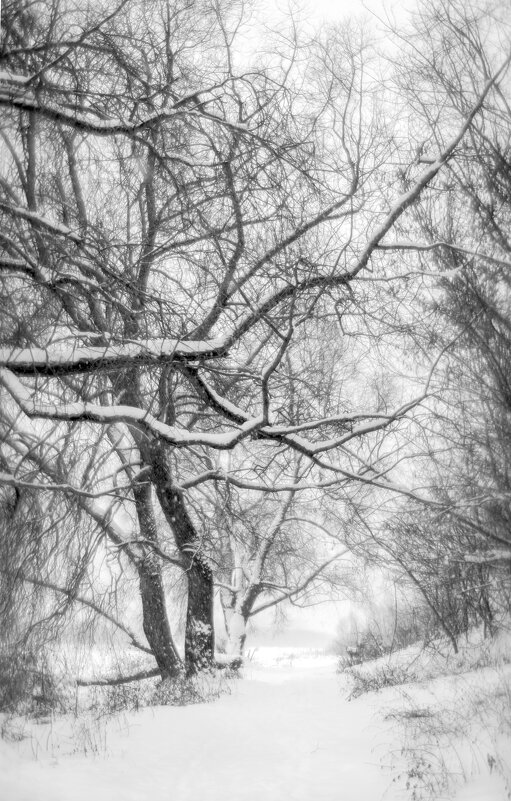 MONOCLE - василий 