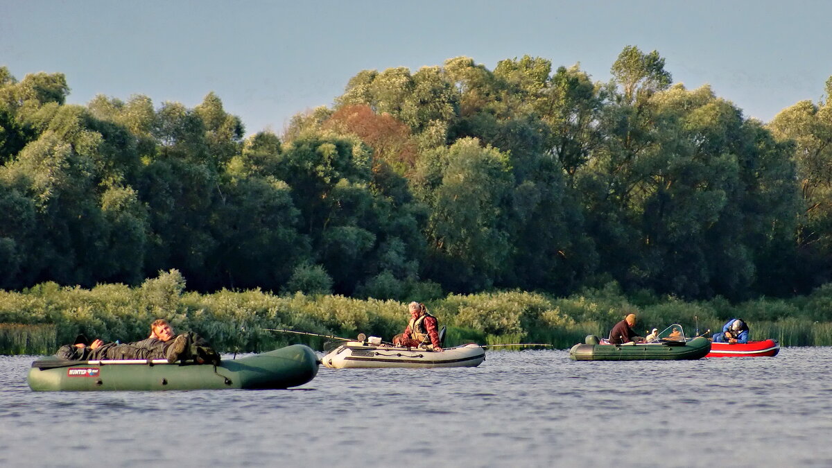 Прохладное утро - Валерий Судачок