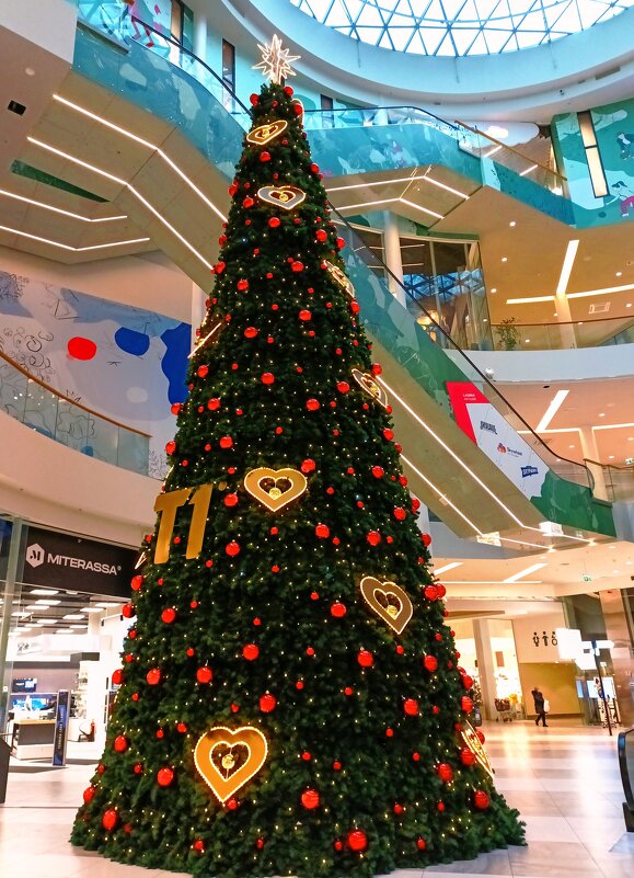 Елочка - Veera V Елочка - Veera V