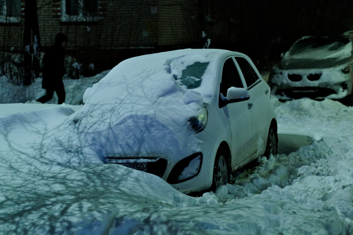 снегопад в подмосковье - Артём 