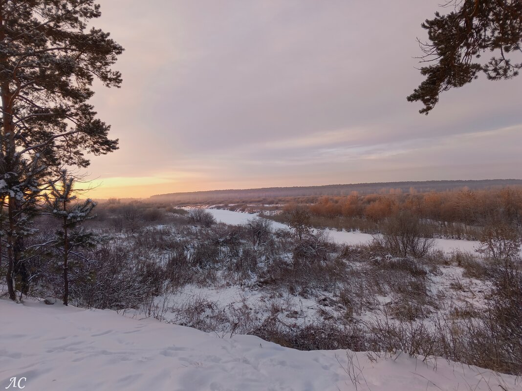 Зимние зарисовки - Любовь Сахарова
