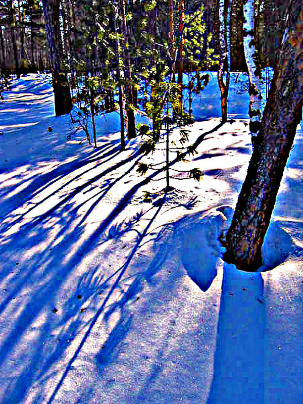 Февраль...Весна света в тайге! - Владимир Февраль...Весна света в тайге! - Владимир