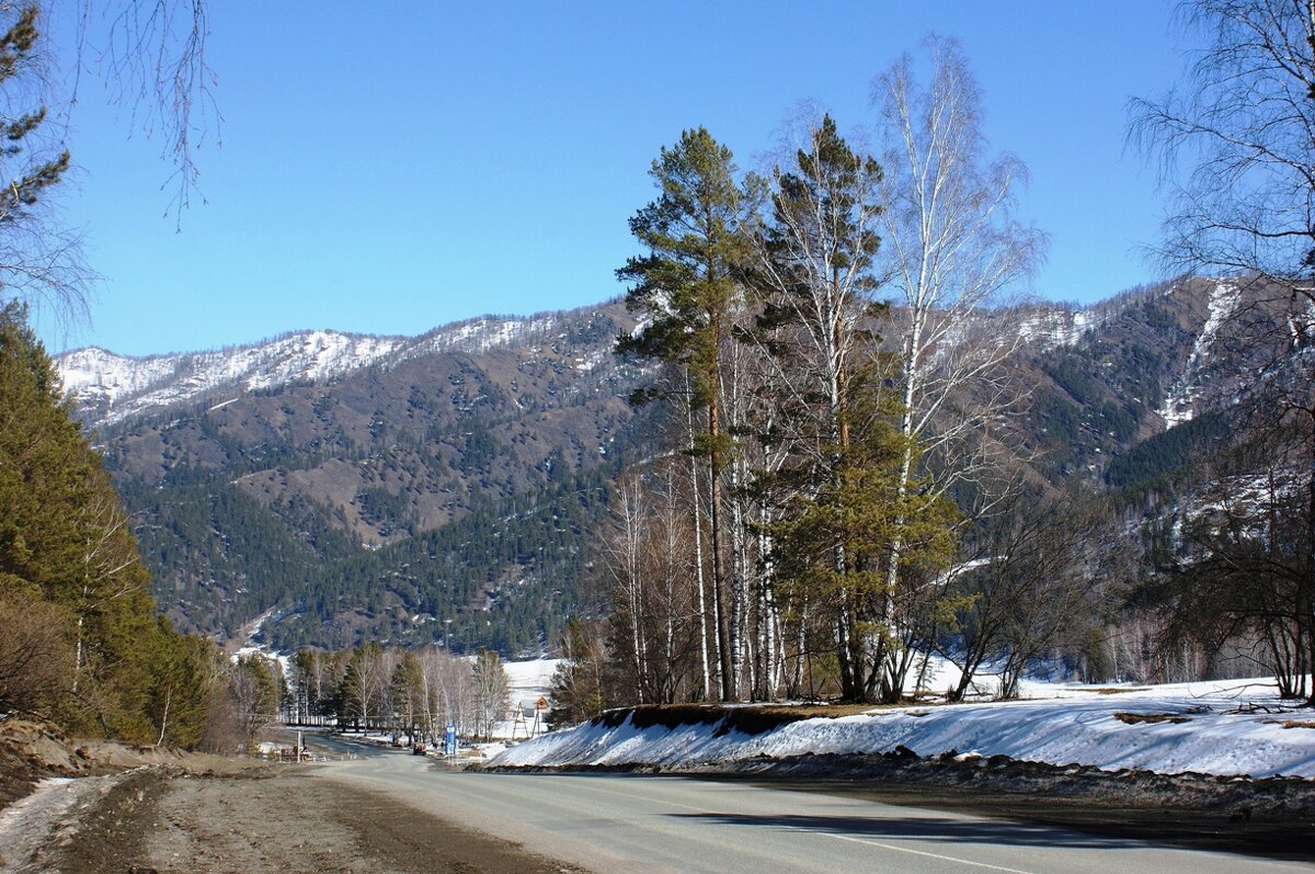 Природа Алтая - Галина Нестратова