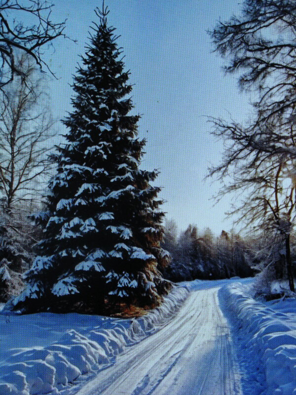 Красавица - Людмила Смородинская