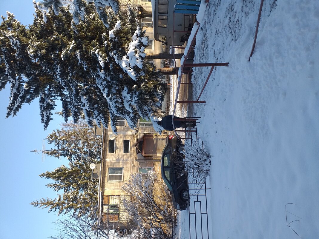 сосед пошёл ... - Галина Флора сосед пошёл ... - Галина Флора