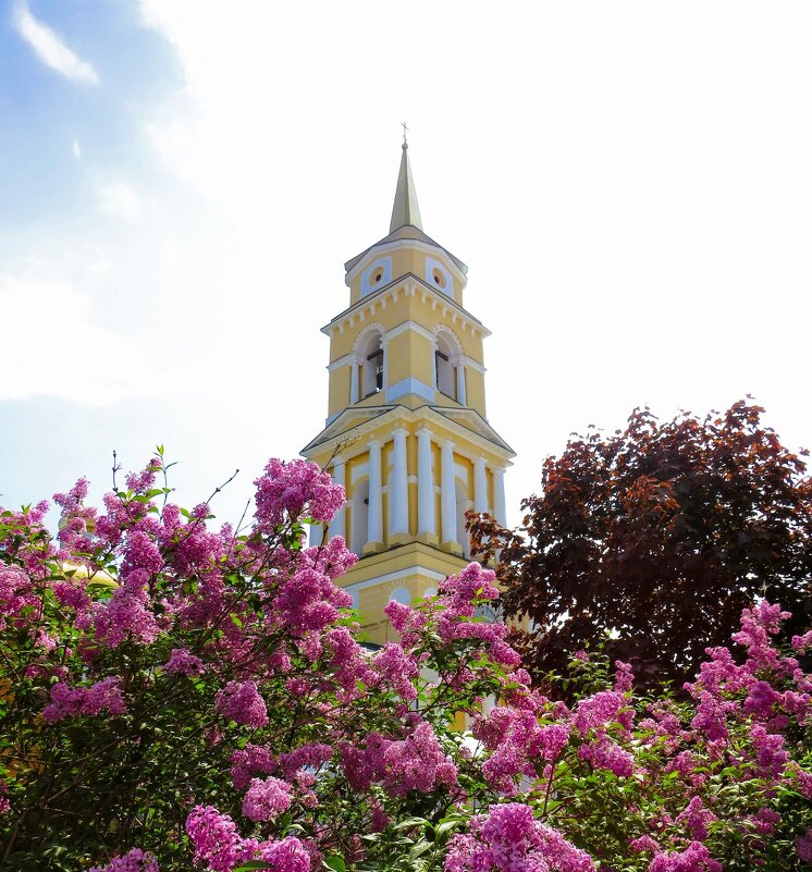 Майским днем - Лариса С.