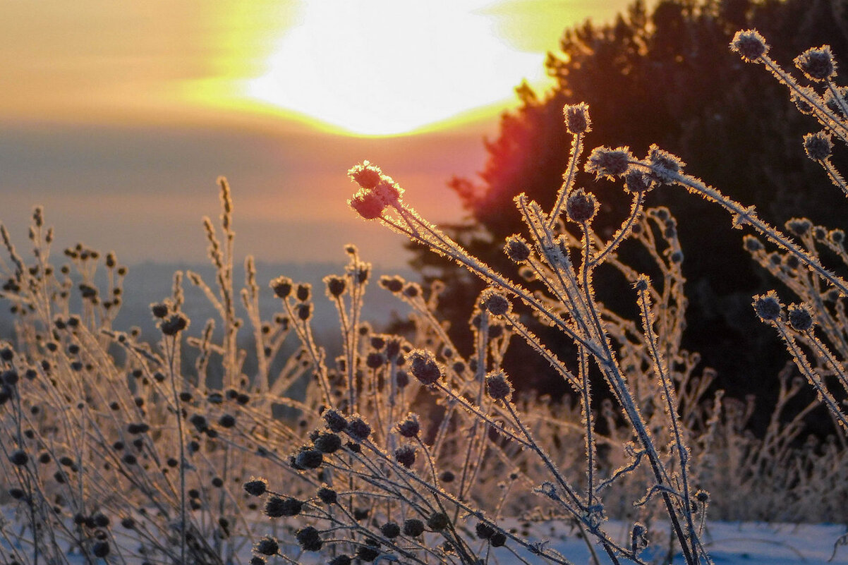 Утренний иней - Владимир Кириченко