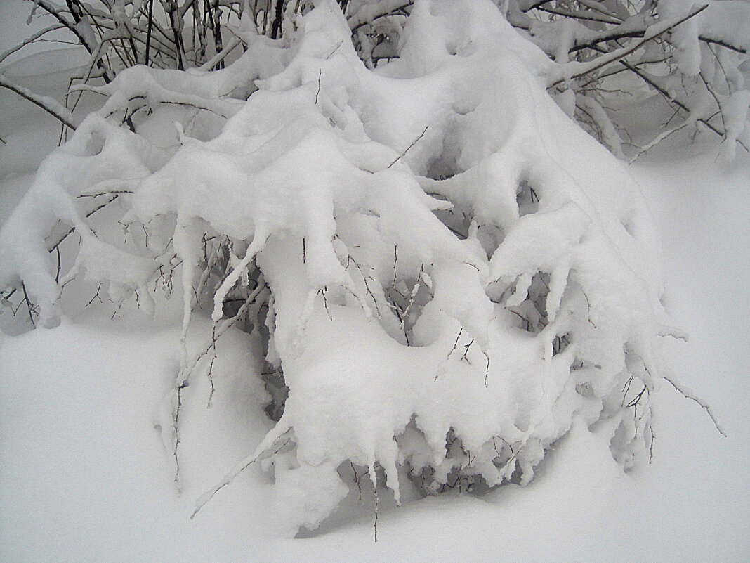 Замело - Елена Семигина