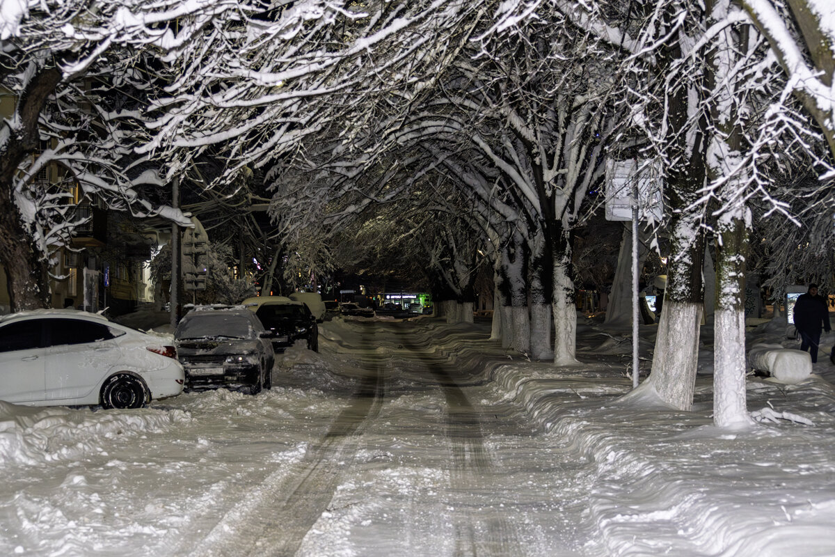 Прогулка по заснеженному городку - Игорь Сикорский